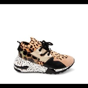 Women's Steven Madden Cliff Animal Sneakers
